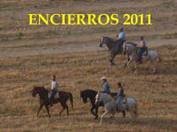 0 Encierros 2011 (1).jpg (155297 bytes)