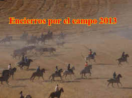 Encierros por el Campo - 2013