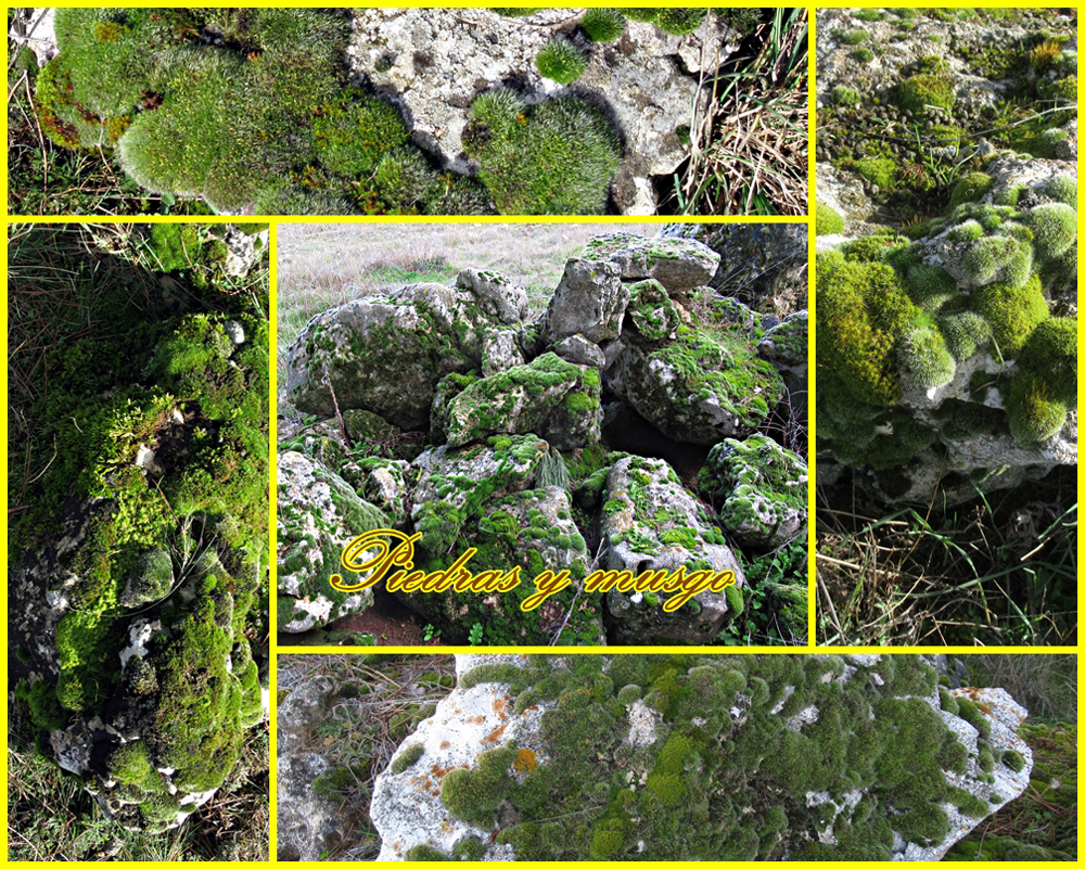 Bienvenidos a Vallelado (Segovia)