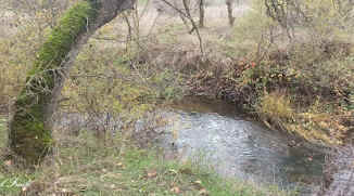 BONITOS COLORES OTO�ALES JUNTO AL CEGA