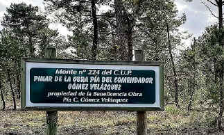 INCENDIO EN EL PINAR DE LA OBRA PA, HACE 84 AOS